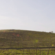 Imagen para el artículo titulado La verdadera historia de la foto de fondo de escritorio en Windows XP